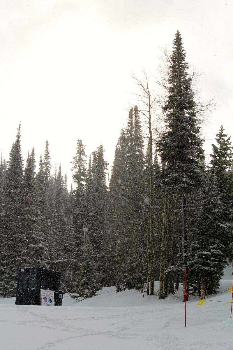 Snow
